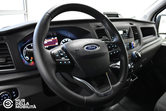 FORD Transit 290 2.0TDCi EcoBlue PM-TM Furgone Trend